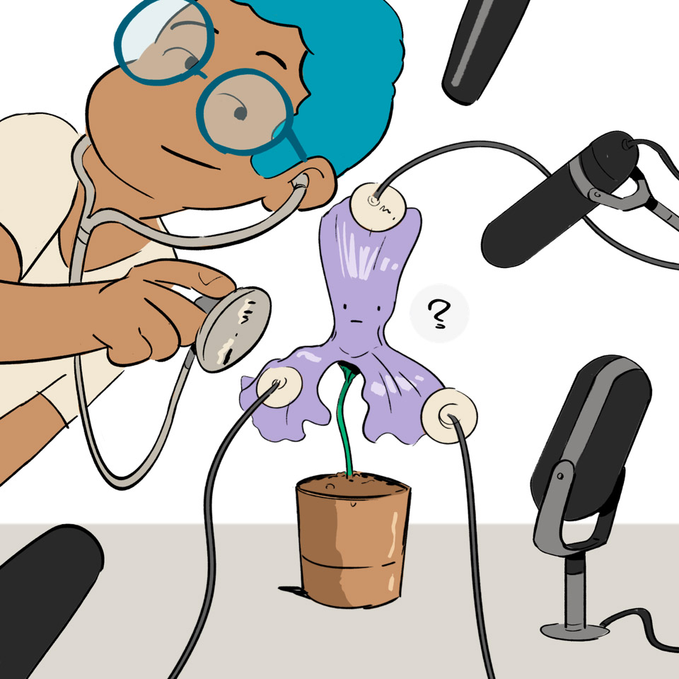 lab_t5_intuition-plantes